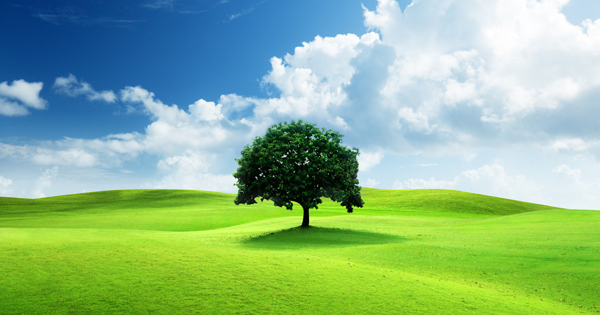free-nature-images.jpg